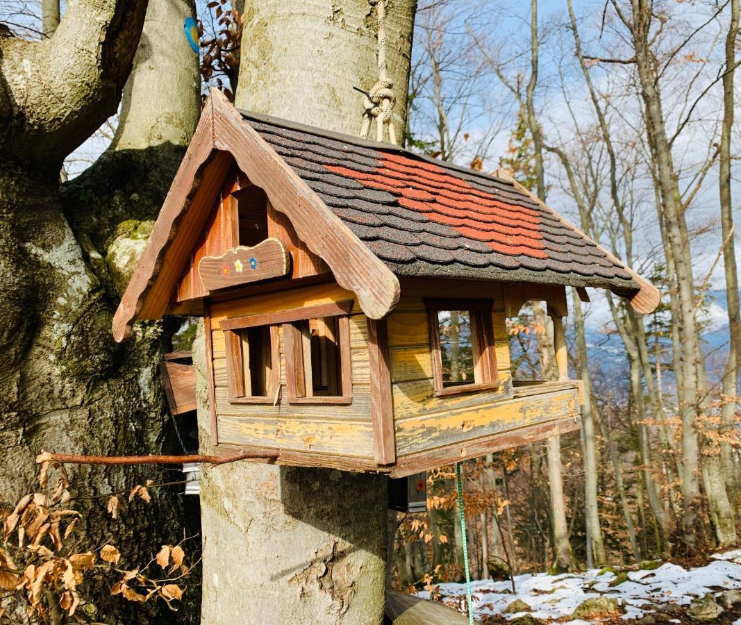 Status Apartments Bled Exteriör bild